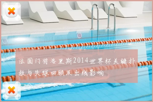 法国门将洛里斯2014世界杯关键扑救与失球回顾及出线影响