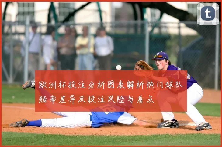 欧洲杯投注分析图表解析热门球队赔率差异及投注风险与看点