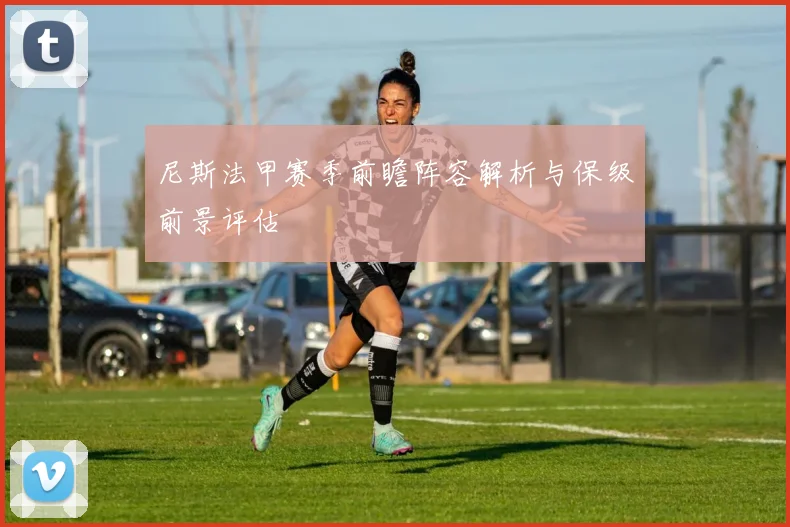 尼斯法甲赛季前瞻阵容解析与保级前景评估