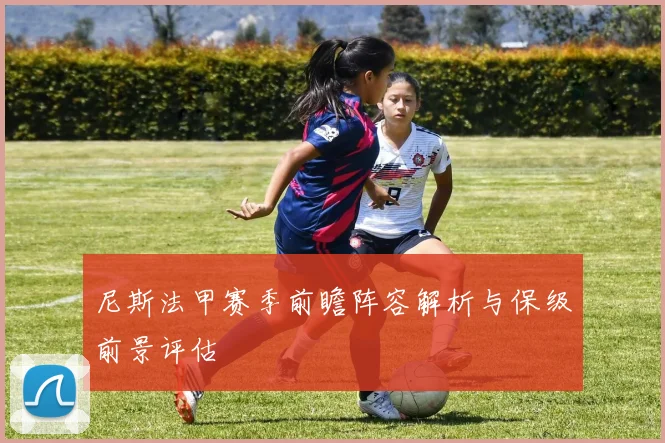 尼斯法甲赛季前瞻阵容解析与保级前景评估